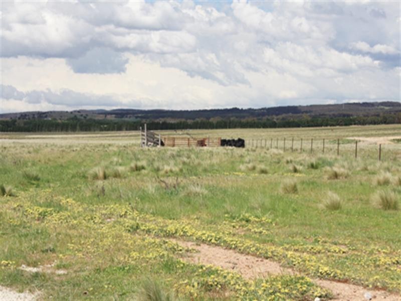 63 Roseview Road, Tarago NSW 2580