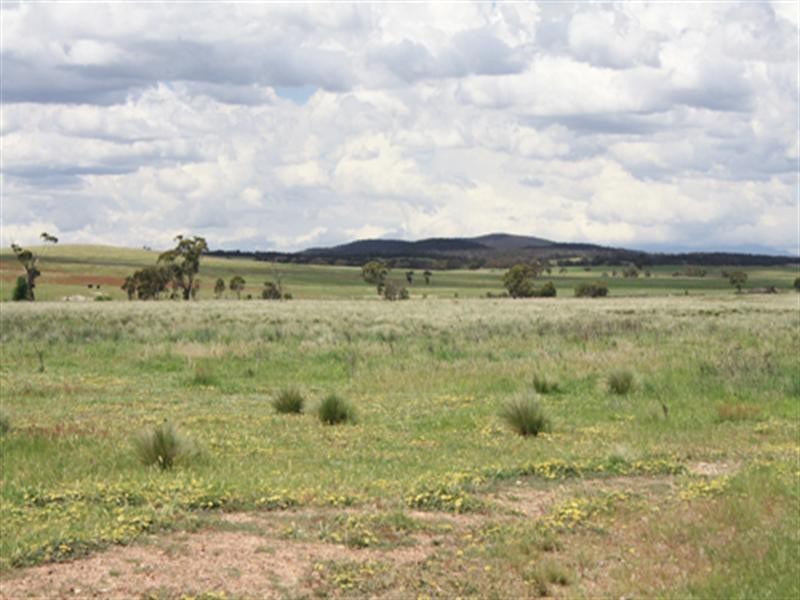 63 Roseview Road, Tarago NSW 2580