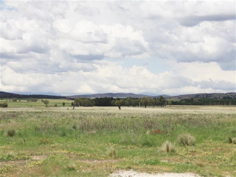 63 Roseview Road, Tarago NSW 2580