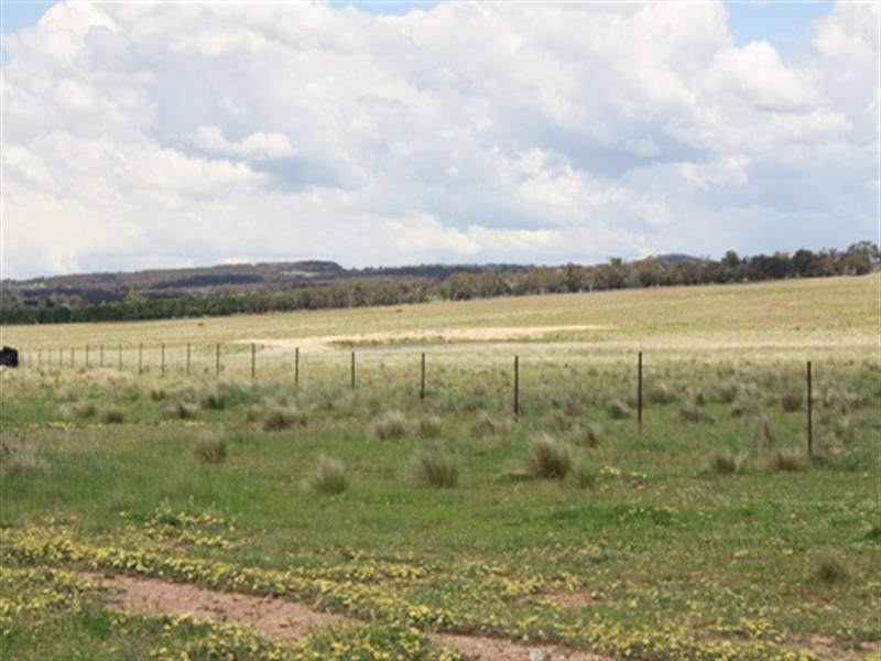 63 Roseview Road, Tarago NSW 2580