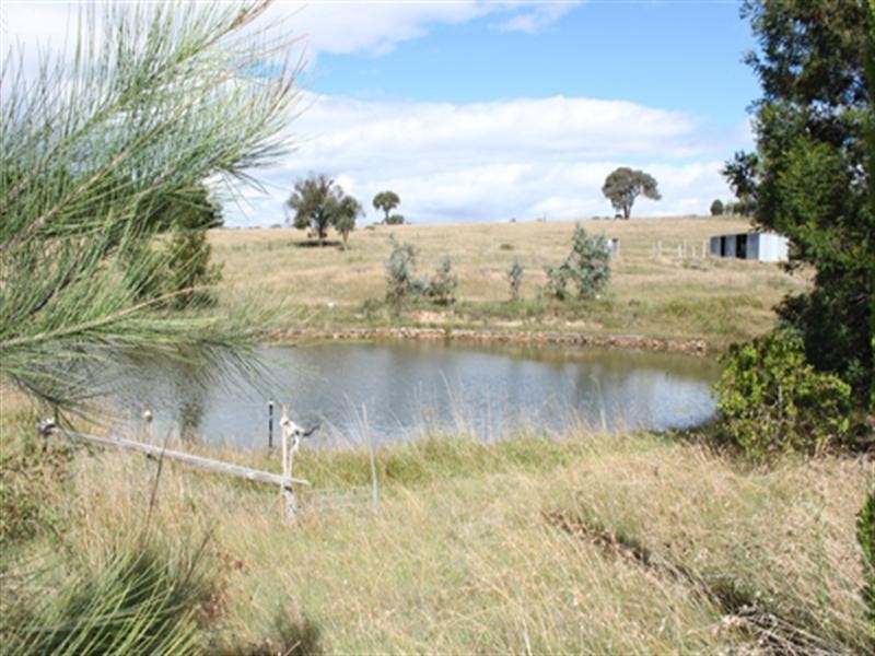 19 Radcliffe Circuit, Carwoola NSW 2620