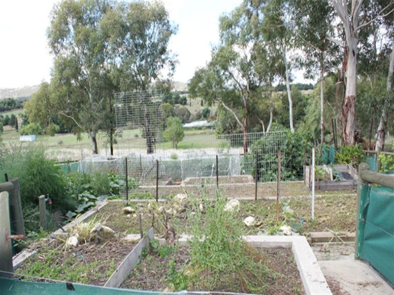 19 Radcliffe Circuit, Carwoola NSW 2620