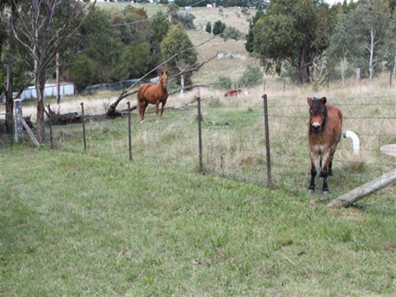 19 Radcliffe Circuit, Carwoola NSW 2620