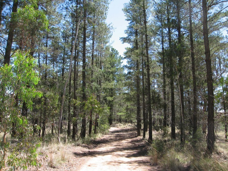 280 Donnelly Road, Bywong NSW 2621