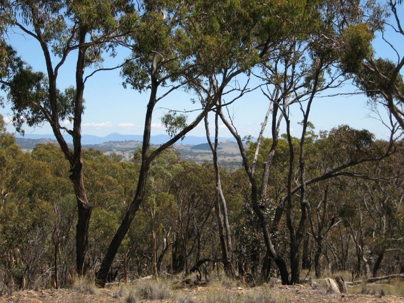 280 Donnelly Road, Bywong NSW 2621