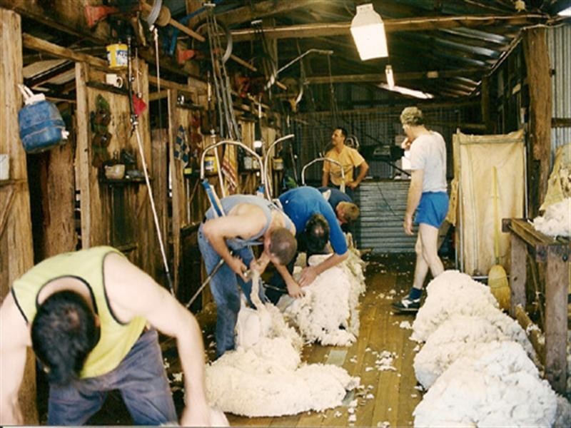 1742 Tarago Road, Bungendore NSW 2621