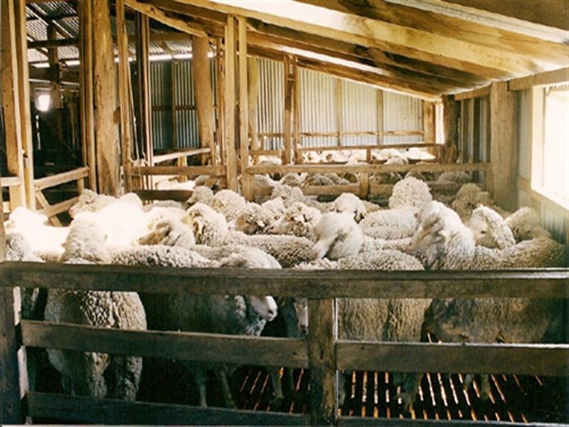 1742 Tarago Road, Bungendore NSW 2621