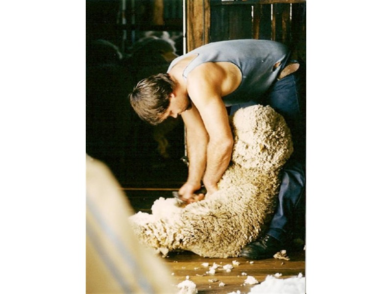 1742 Tarago Road, Bungendore NSW 2621