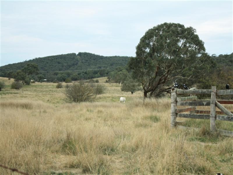 32 Forest Lane, Bungendore NSW 2621