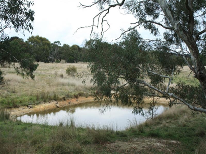 32 Forest Lane, Bungendore NSW 2621