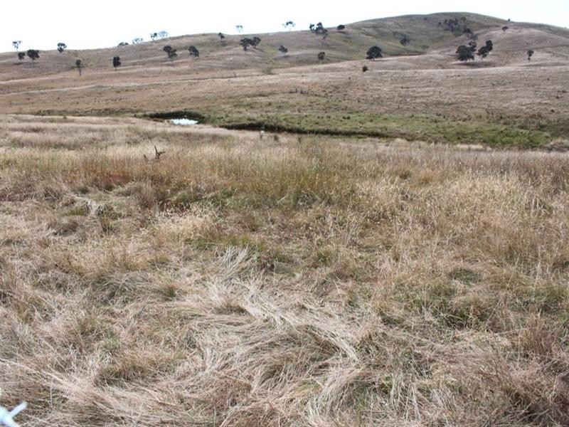 517 Wanna Wanna Road, Carwoola NSW 2620