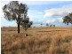 344 Dalton Road, Gunning NSW 2581