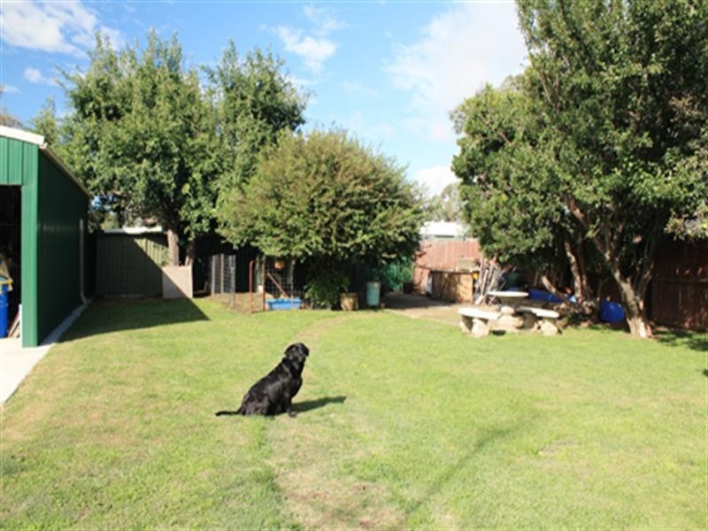 29 Forster Street, Bungendore NSW 2621