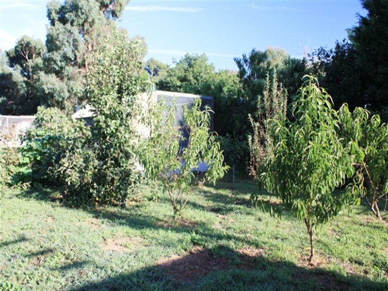 6 King Street, Bungendore NSW 2621