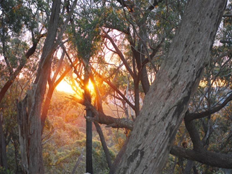 183 St Clair Road, Lake Bathurst NSW 2580