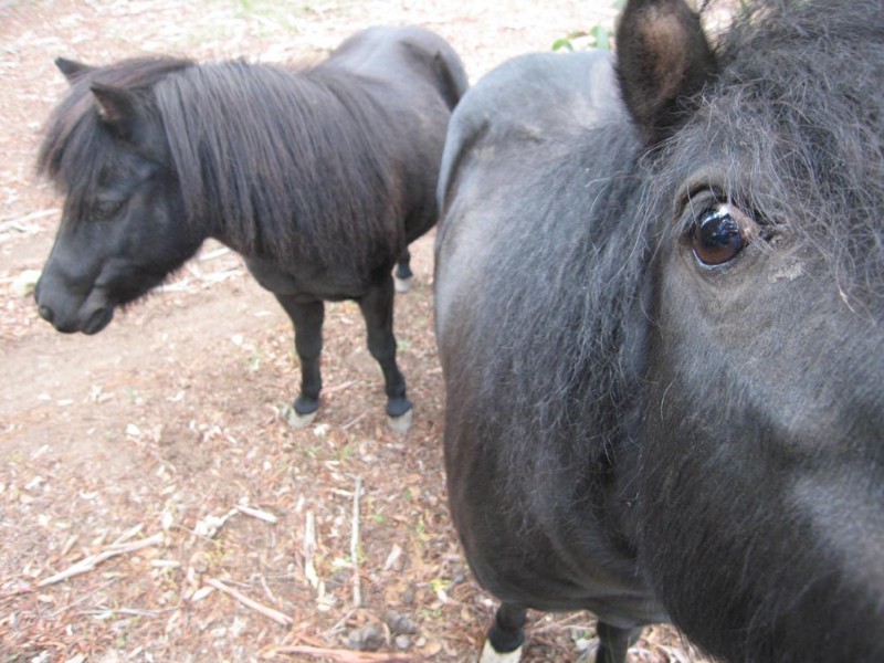 2011 Tarago Road, Tarago NSW 2580