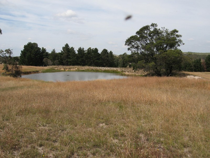 2011 Tarago Road, Tarago NSW 2580