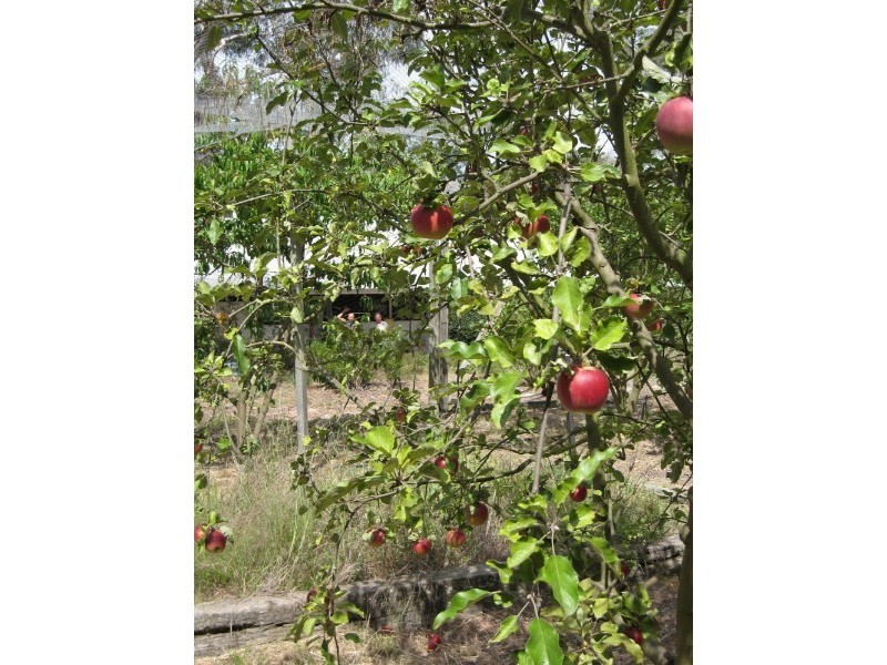 2011 Tarago Road, Tarago NSW 2580