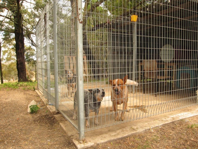 2011 Tarago Road, Tarago NSW 2580