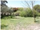 1969 Tarago Road, Bungendore NSW 2621