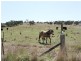 1969 Tarago Road, Bungendore NSW 2621