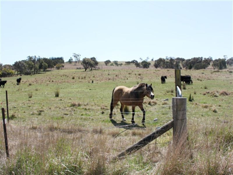 1969 Tarago Road, Bungendore NSW 2621