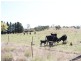 1969 Tarago Road, Bungendore NSW 2621