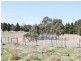 1969 Tarago Road, Bungendore NSW 2621