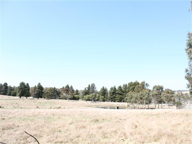 1969 Tarago Road, Bungendore NSW 2621