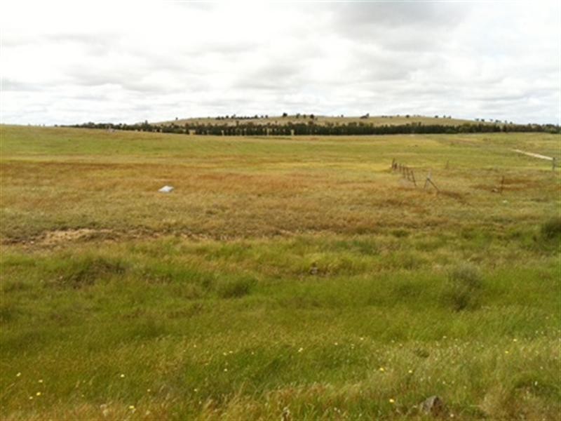 797 Glenoval Road, Lake Bathurst NSW 2580