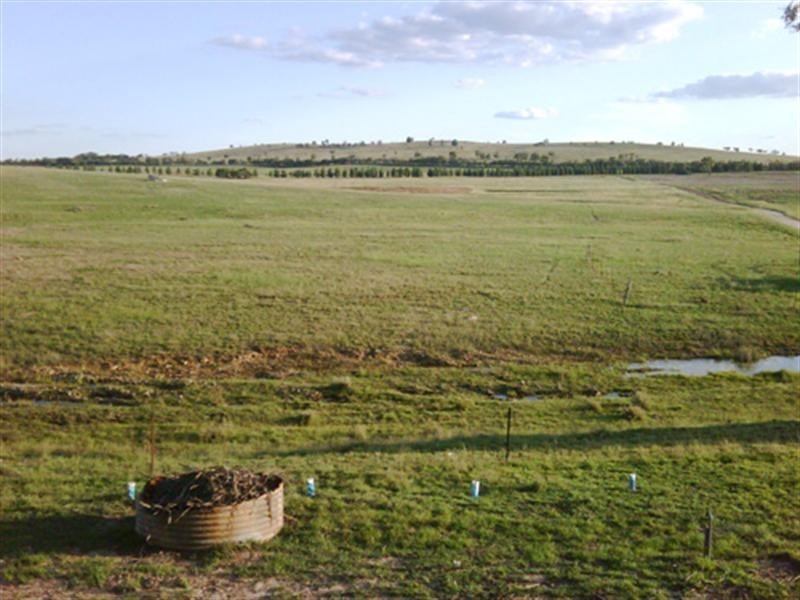 797 Glenoval Road, Lake Bathurst NSW 2580