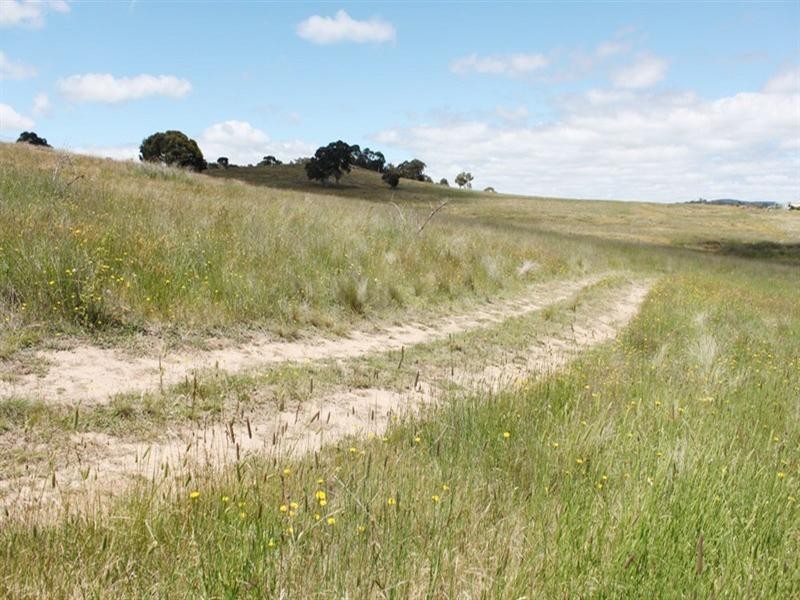 36 Rossi Road, Hoskinstown NSW 2621