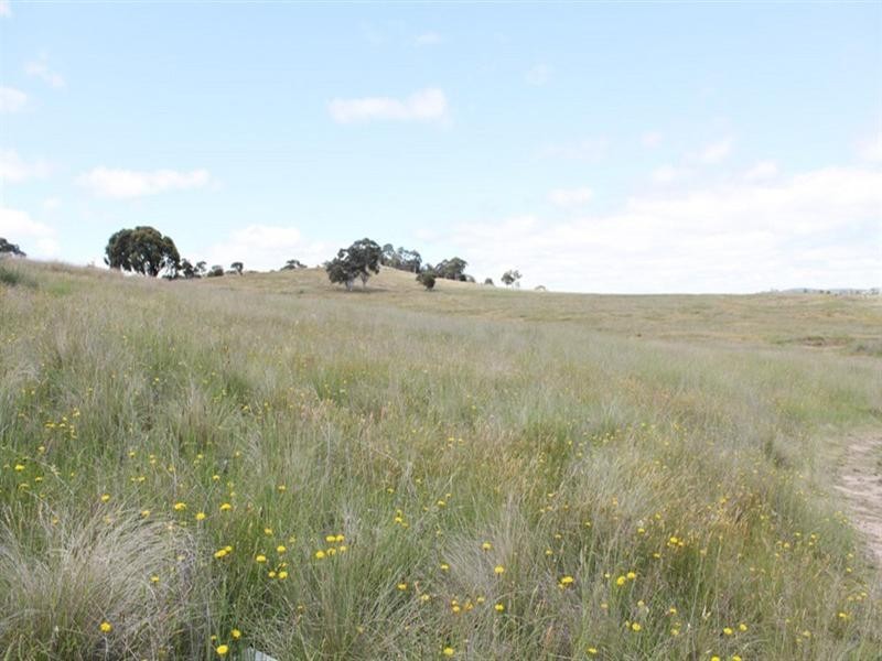 36 Rossi Road, Hoskinstown NSW 2621