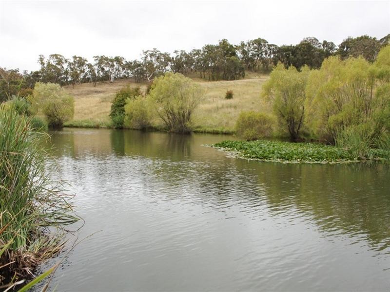 201 Sandhills Road, Mount Fairy NSW 2580