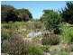 137 Leahys Lane, Bungendore NSW 2621