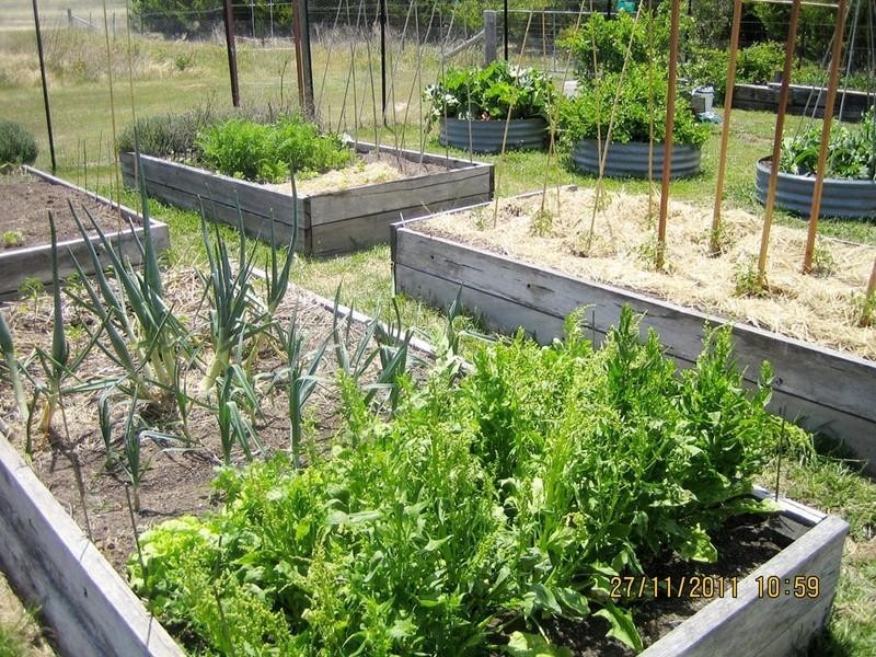 137 Leahys Lane, Tarago NSW 2580