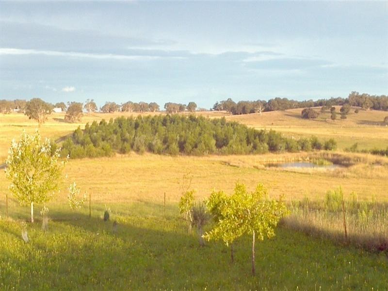 137 Leahys Lane, Tarago NSW 2580
