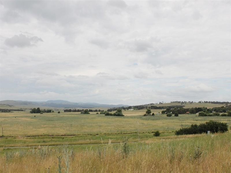 10 McFadzen Place, Bungendore NSW 2621