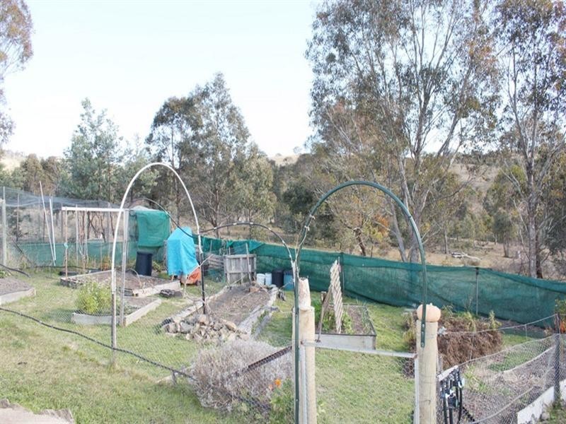 176 Bowen Street, Carwoola NSW 2620