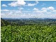 Laidley QLD 4341