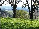 Laidley QLD 4341