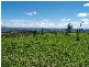 Laidley QLD 4341