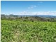 Laidley QLD 4341