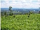 Laidley QLD 4341