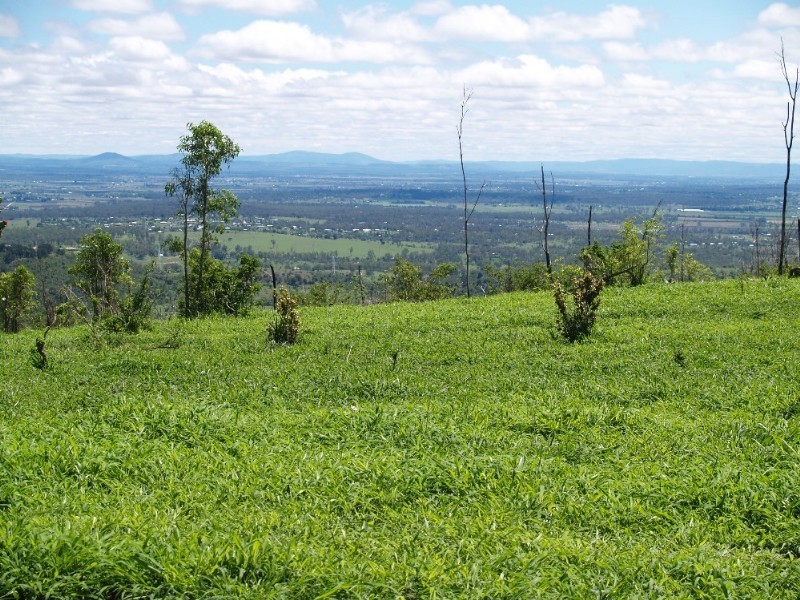 Laidley QLD 4341