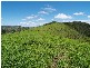 Laidley QLD 4341