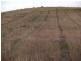 Marburg QLD 4346