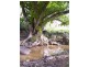 Mount Berryman QLD 4341