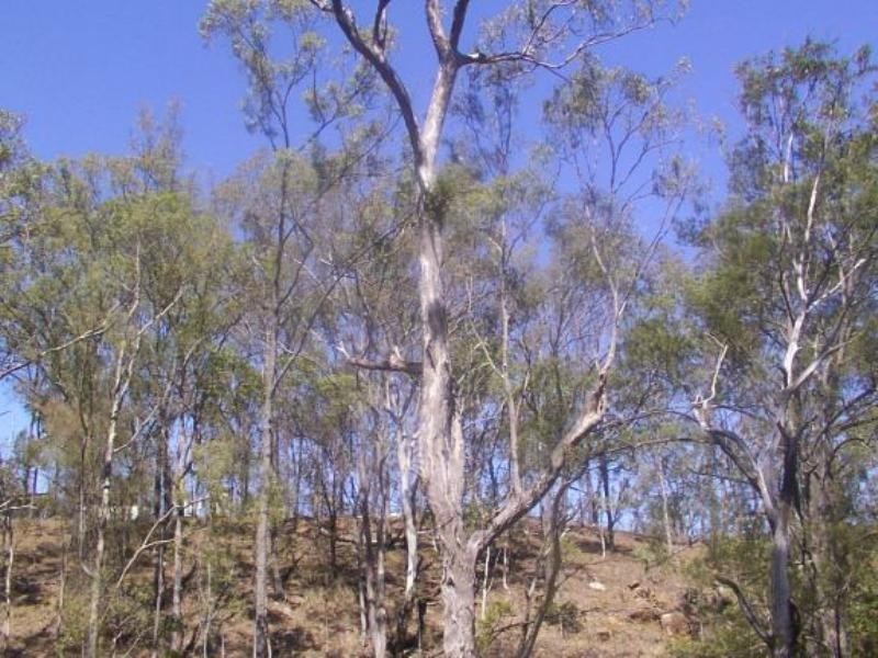 Mount Berryman QLD 4341