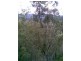 Mount Berryman QLD 4341